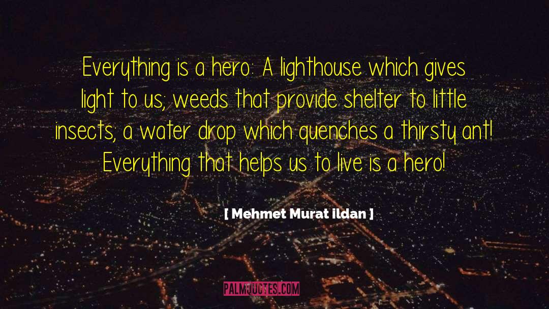 Lighthouse Keeper quotes by Mehmet Murat Ildan