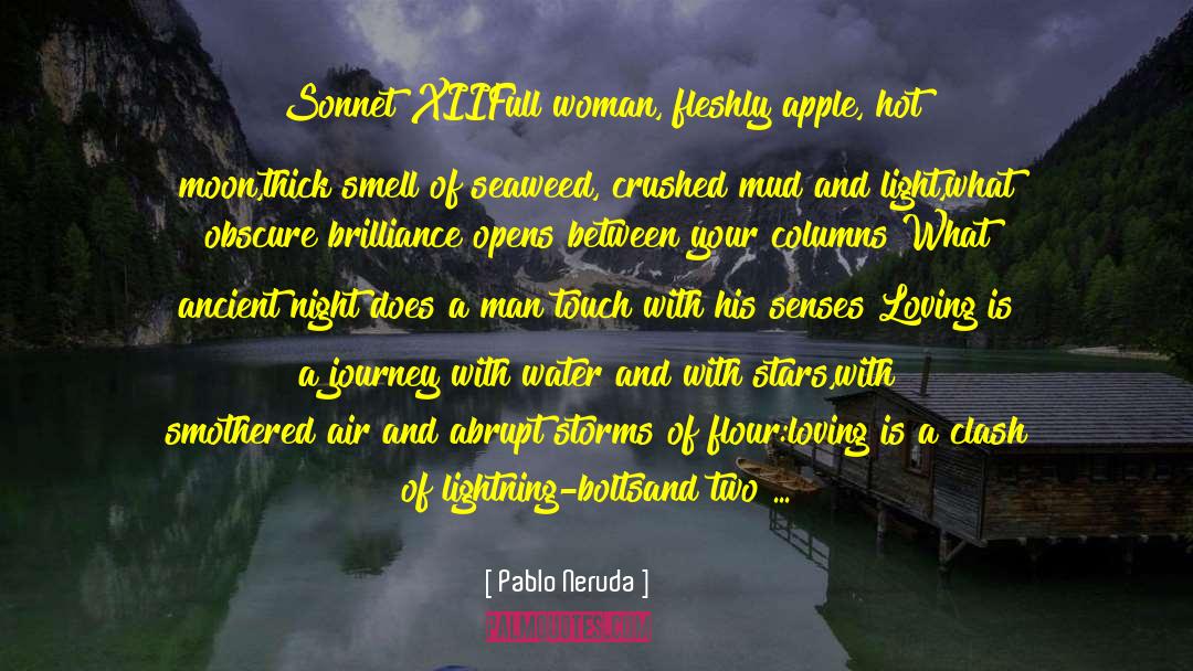 Lighting A Fire quotes by Pablo Neruda