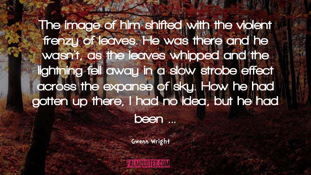 Lightning Bolt quotes by Gwenn Wright