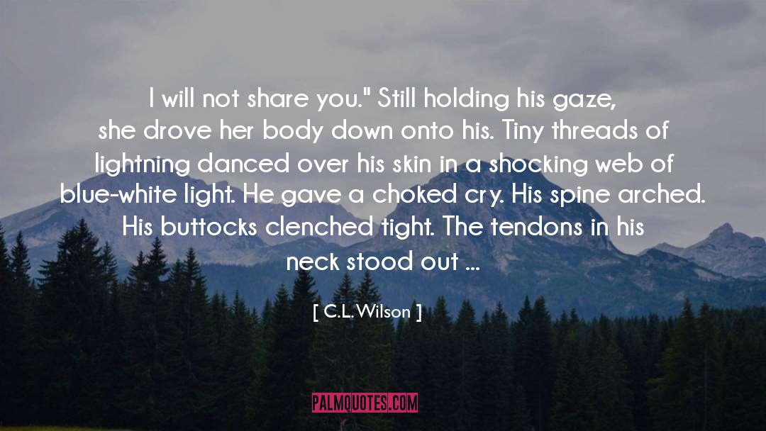 Lightning Bolts quotes by C.L. Wilson