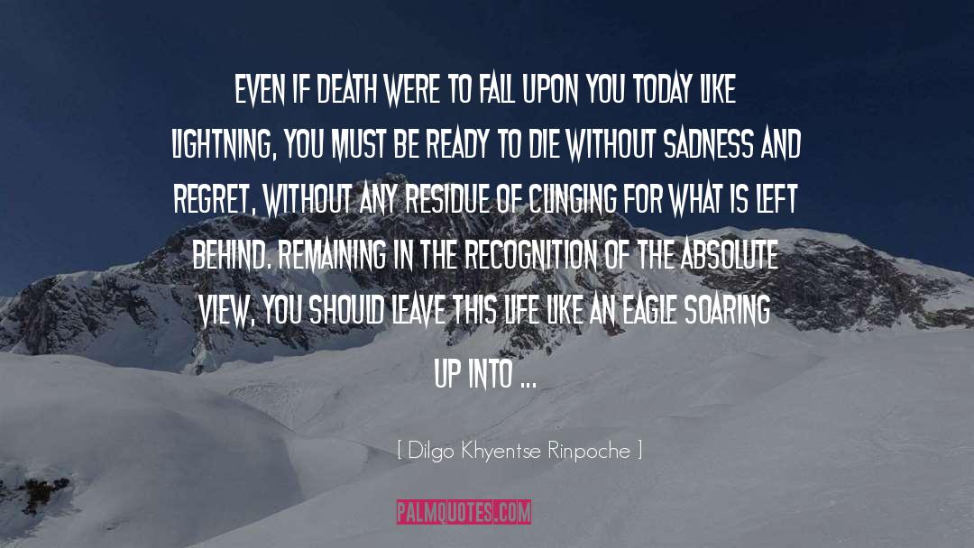 Lightning Thief quotes by Dilgo Khyentse Rinpoche