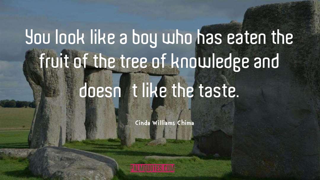 Like A Boy quotes by Cinda Williams Chima