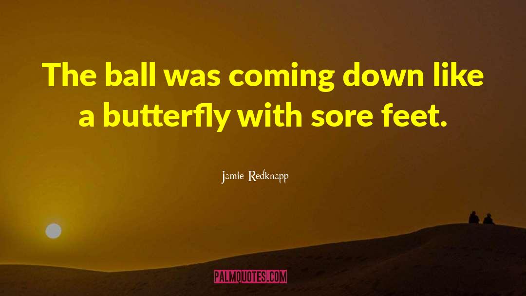Like A Butterfly quotes by Jamie Redknapp