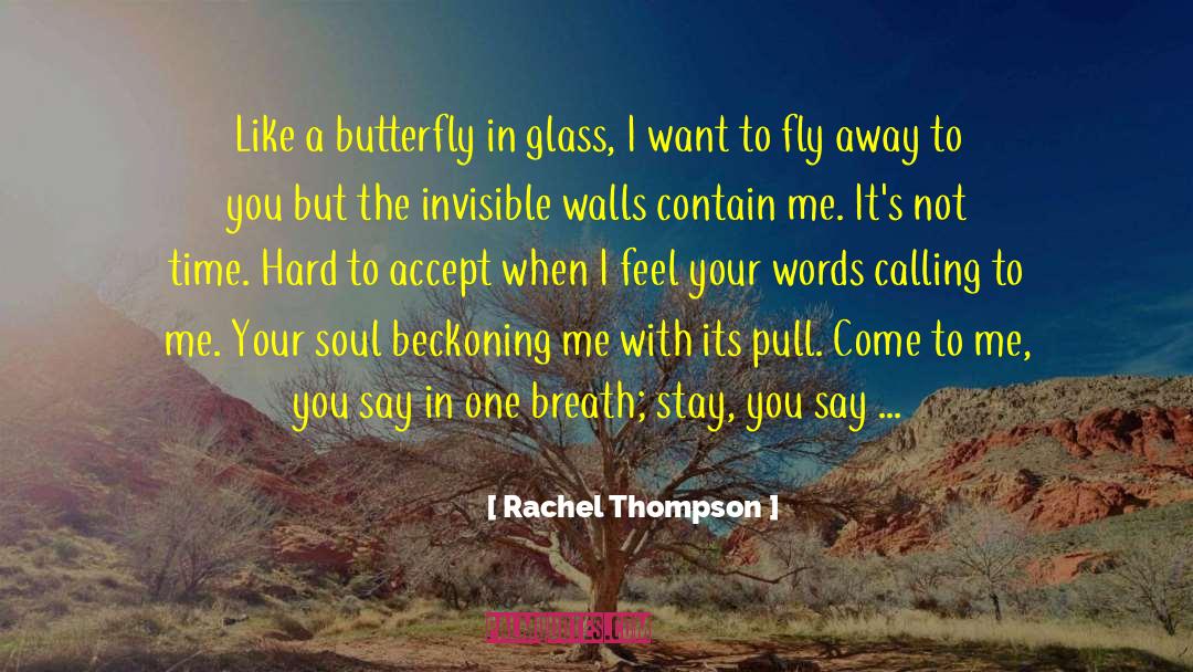 Like A Butterfly quotes by Rachel Thompson