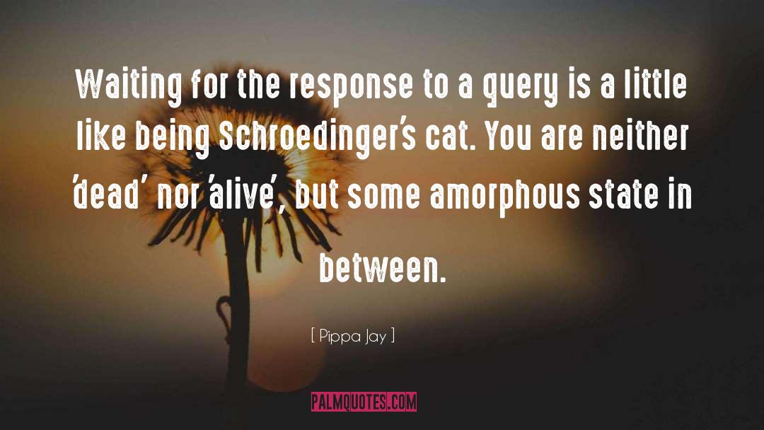 Like Being Alone quotes by Pippa Jay