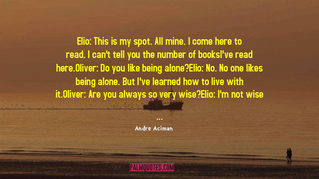 Like Being Alone quotes by Andre Aciman