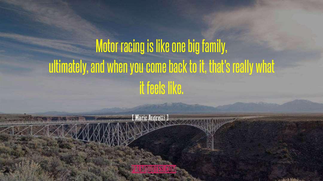 Like Family quotes by Mario Andretti