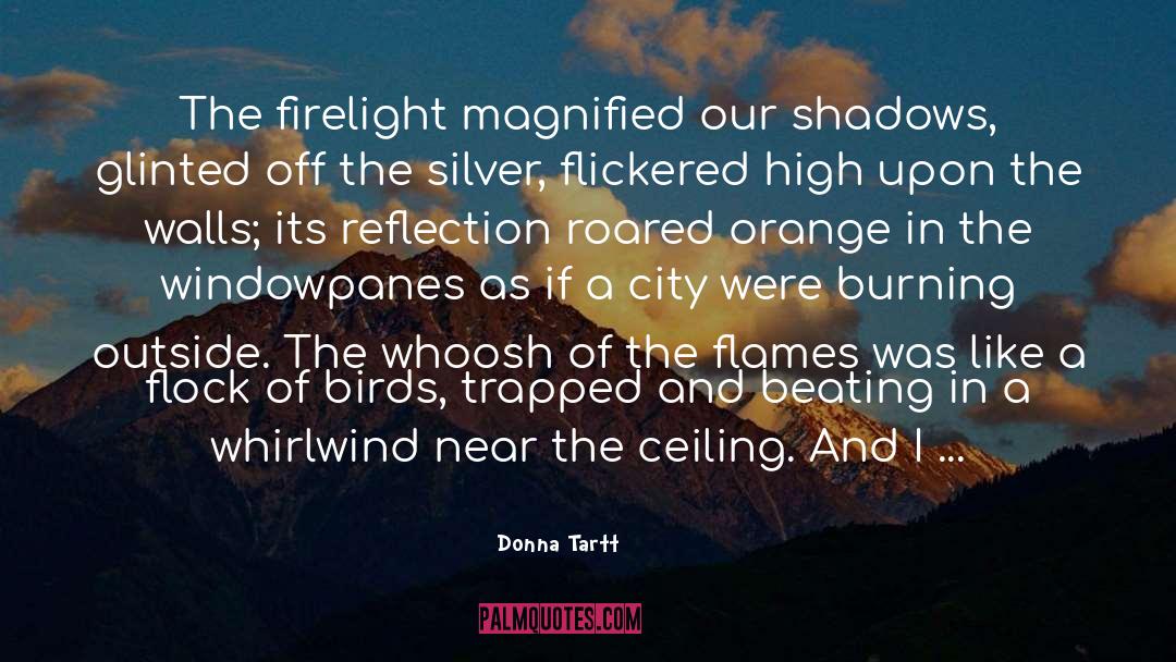 Like Flames In The Night quotes by Donna Tartt