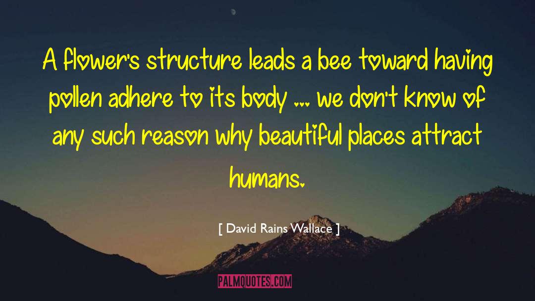 Like Flowers To A Bee quotes by David Rains Wallace