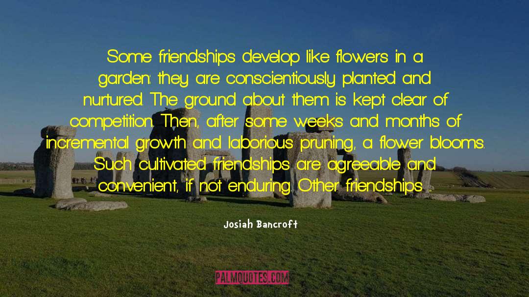 Like Flowers To A Bee quotes by Josiah Bancroft