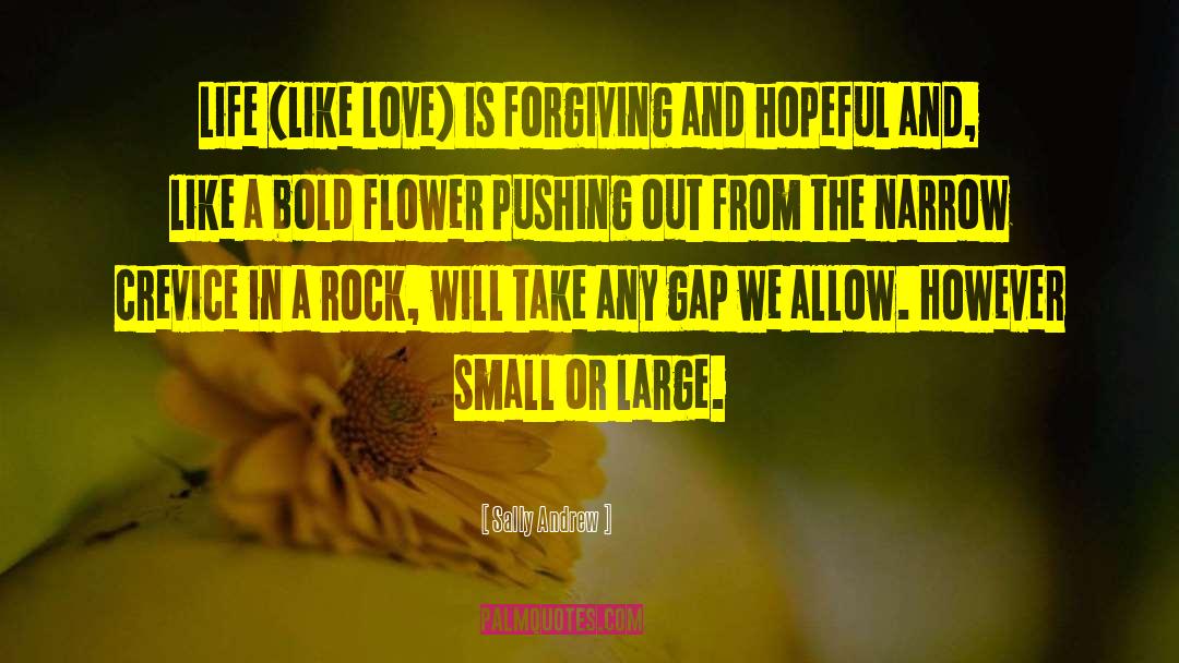 Like Love quotes by Sally Andrew