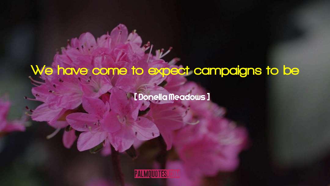 Likeable quotes by Donella Meadows