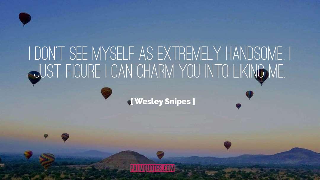 Liking Yourself quotes by Wesley Snipes