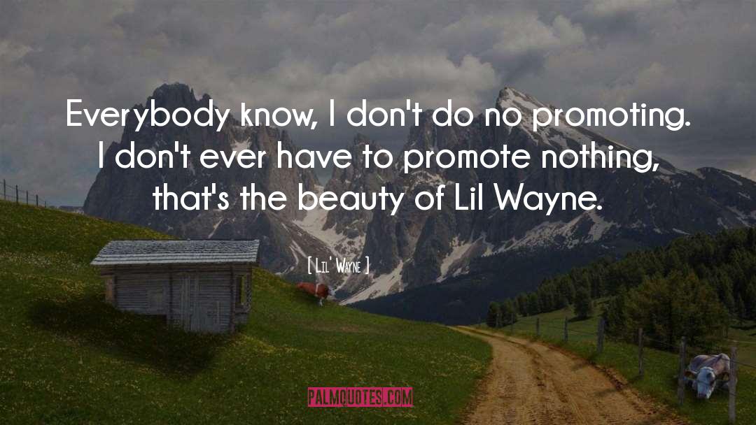 Lil Brudder quotes by Lil' Wayne