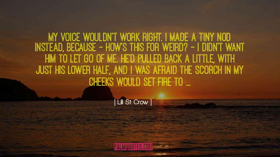 Lil St Crow quotes by Lili St. Crow