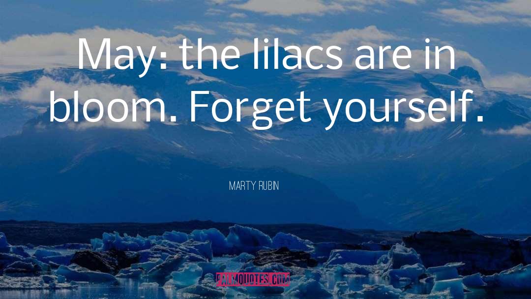 Lilacs quotes by Marty Rubin