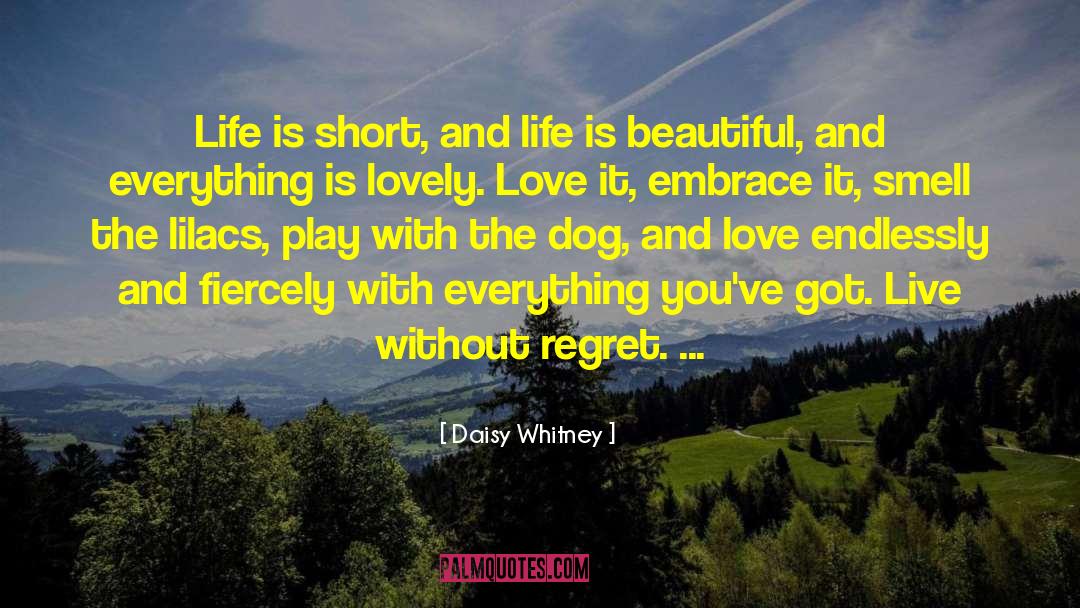 Lilacs quotes by Daisy Whitney