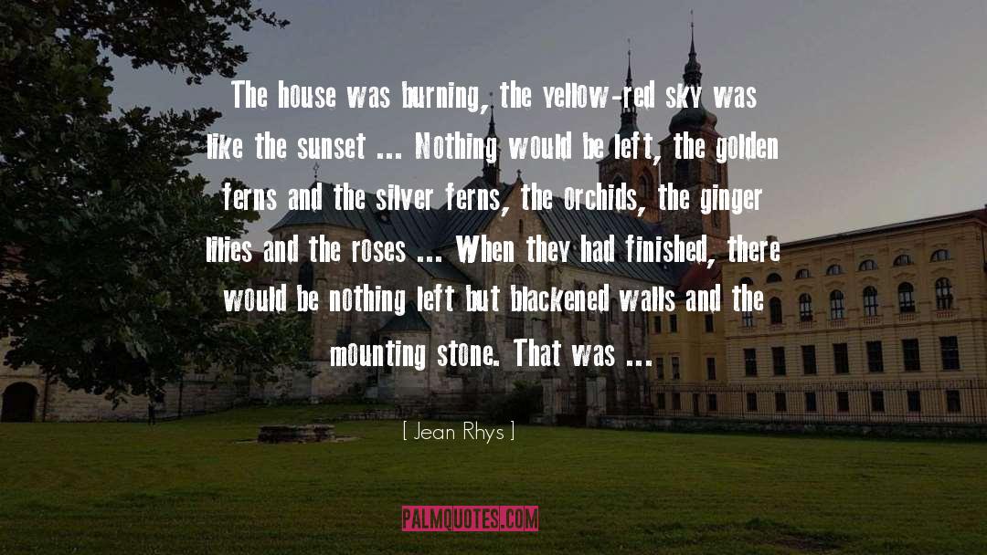 Lilies quotes by Jean Rhys