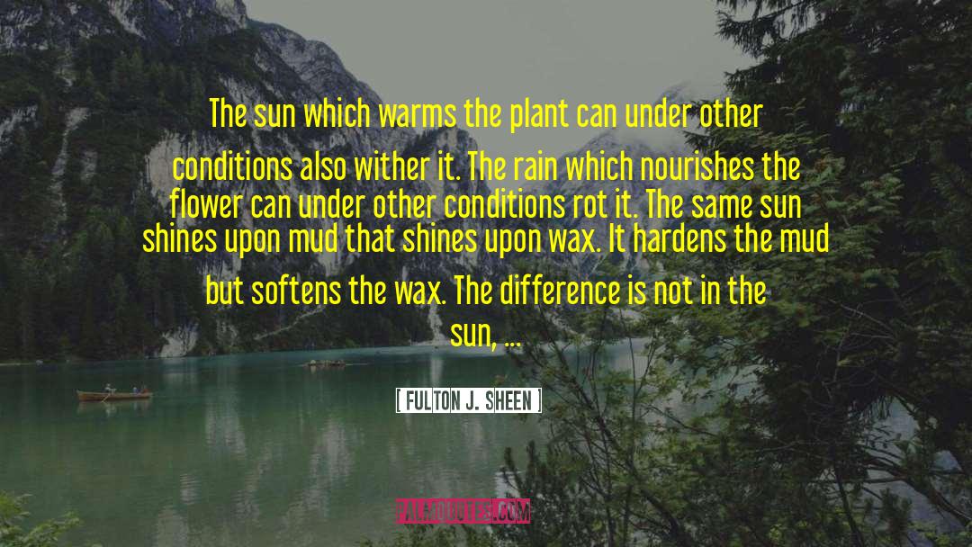 Lilikoi Plant quotes by Fulton J. Sheen