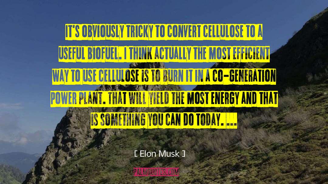 Lilikoi Plant quotes by Elon Musk
