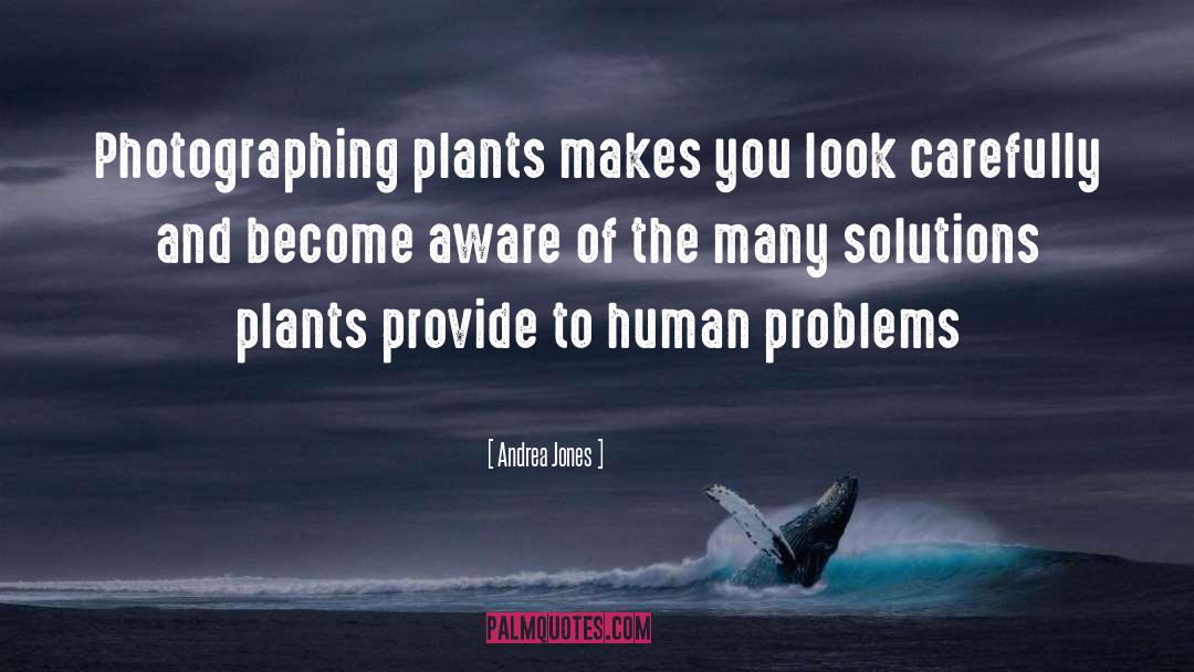 Lilikoi Plant quotes by Andrea Jones