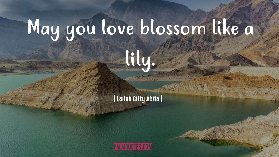 Lily Bart quotes by Lailah Gifty Akita