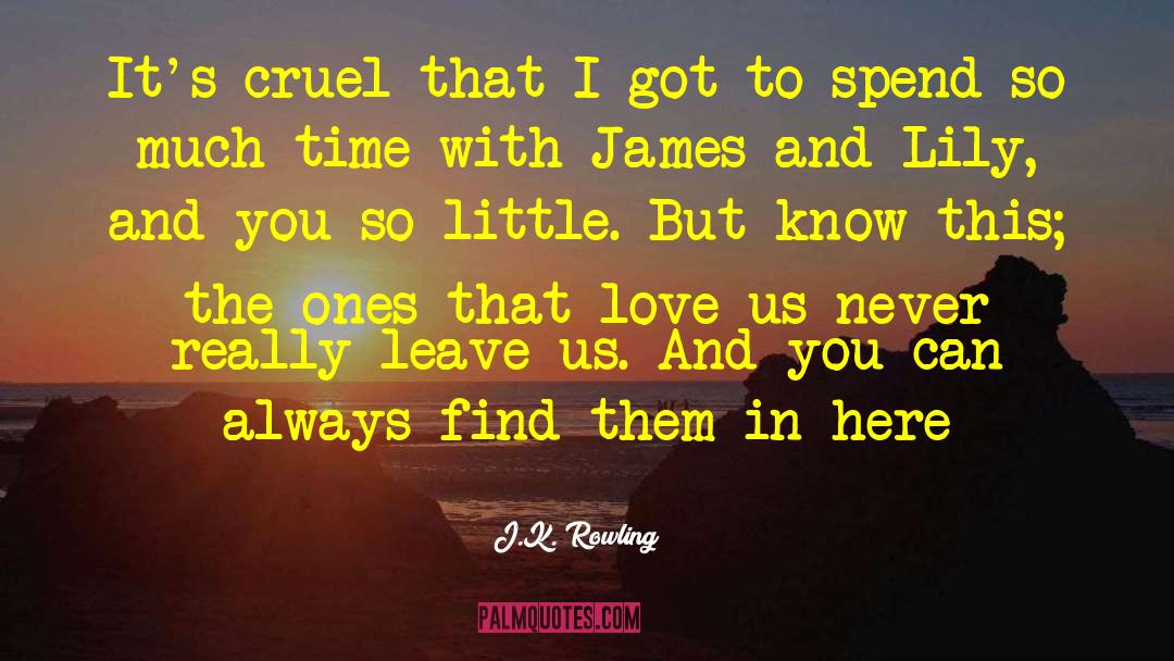 Lily Briscoe quotes by J.K. Rowling