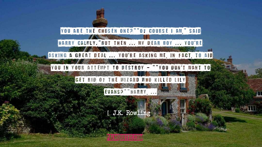 Lily Evans quotes by J.K. Rowling