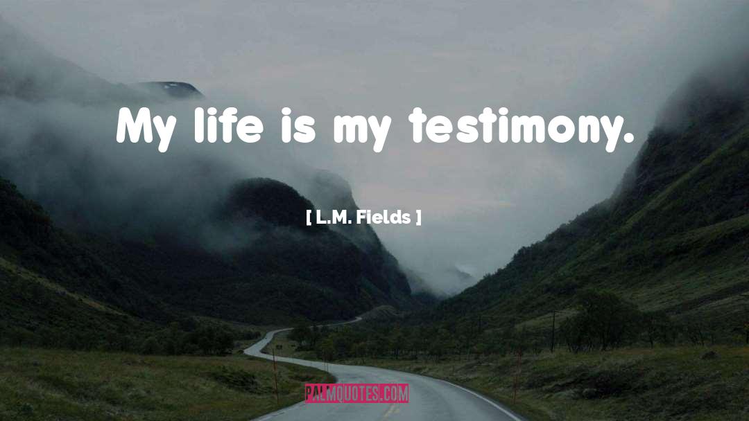 Lily Fields quotes by L.M. Fields