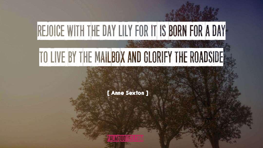Lily Garcia quotes by Anne Sexton