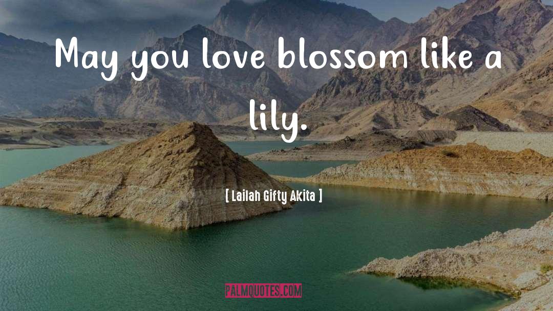 Lily Mcintire quotes by Lailah Gifty Akita