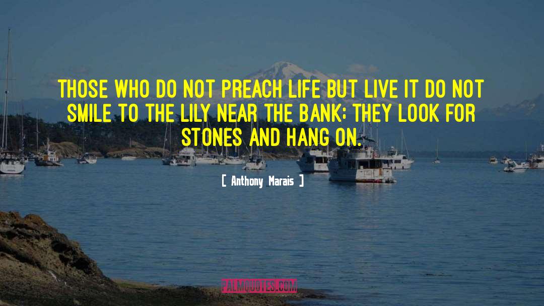 Lily To Ryland quotes by Anthony Marais