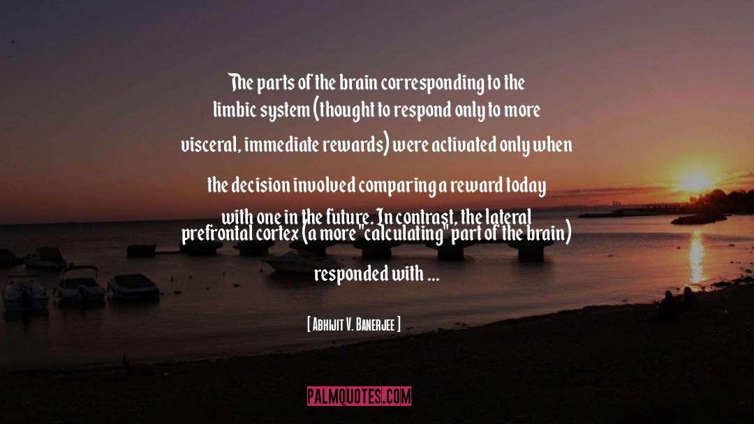 Limbic System quotes by Abhijit V. Banerjee