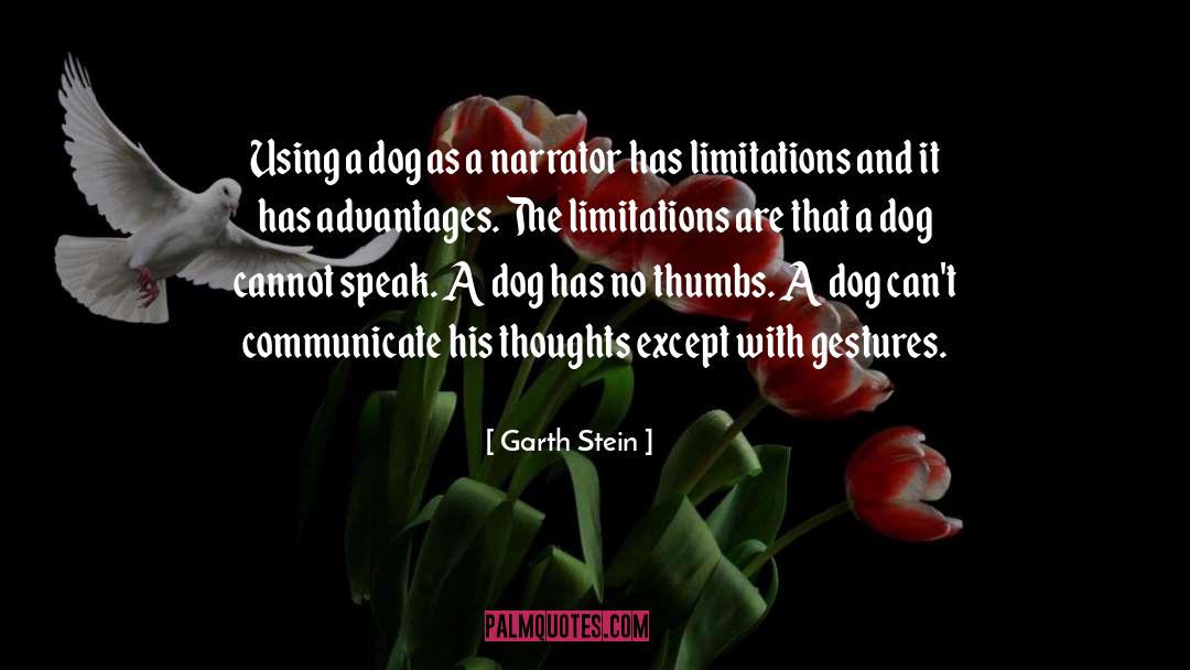 Limitation quotes by Garth Stein