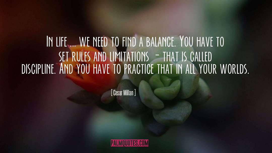 Limitations quotes by Cesar Millan