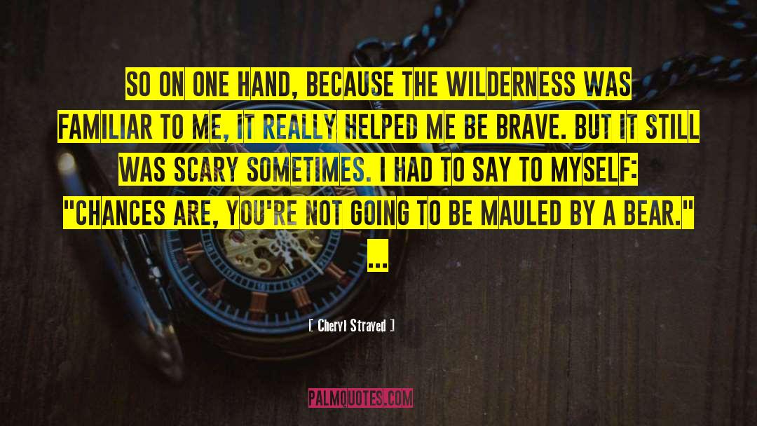 Limiting Chances quotes by Cheryl Strayed