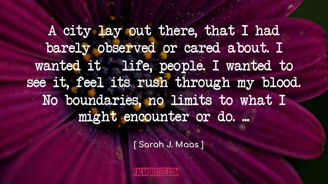 Limits quotes by Sarah J. Maas