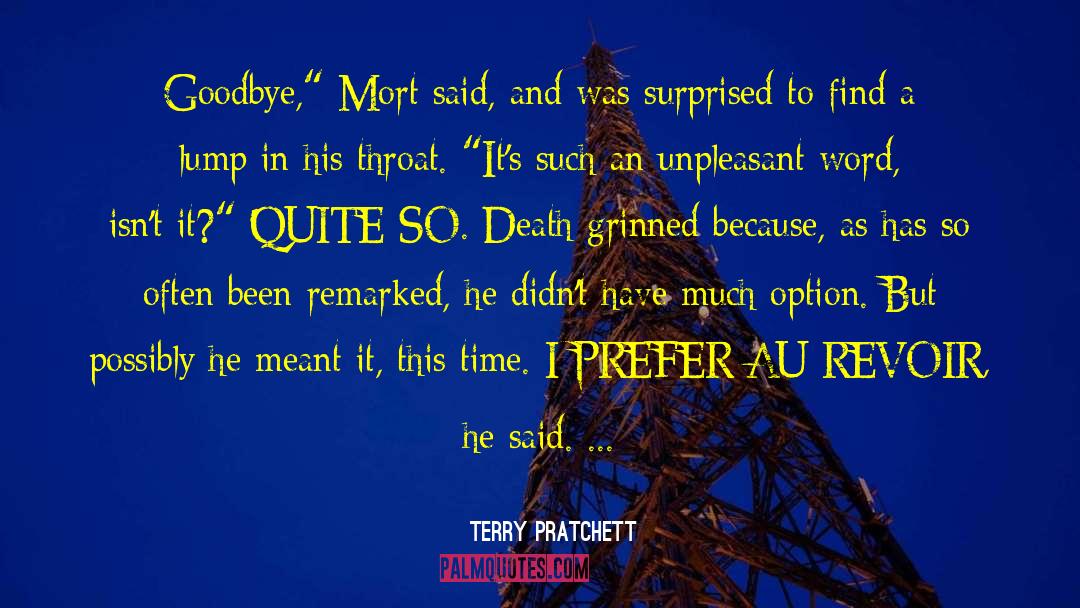 Limonade Au quotes by Terry Pratchett