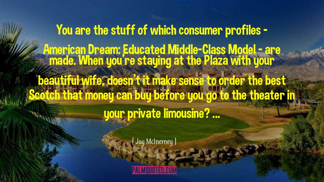 Limousine quotes by Jay McInerney