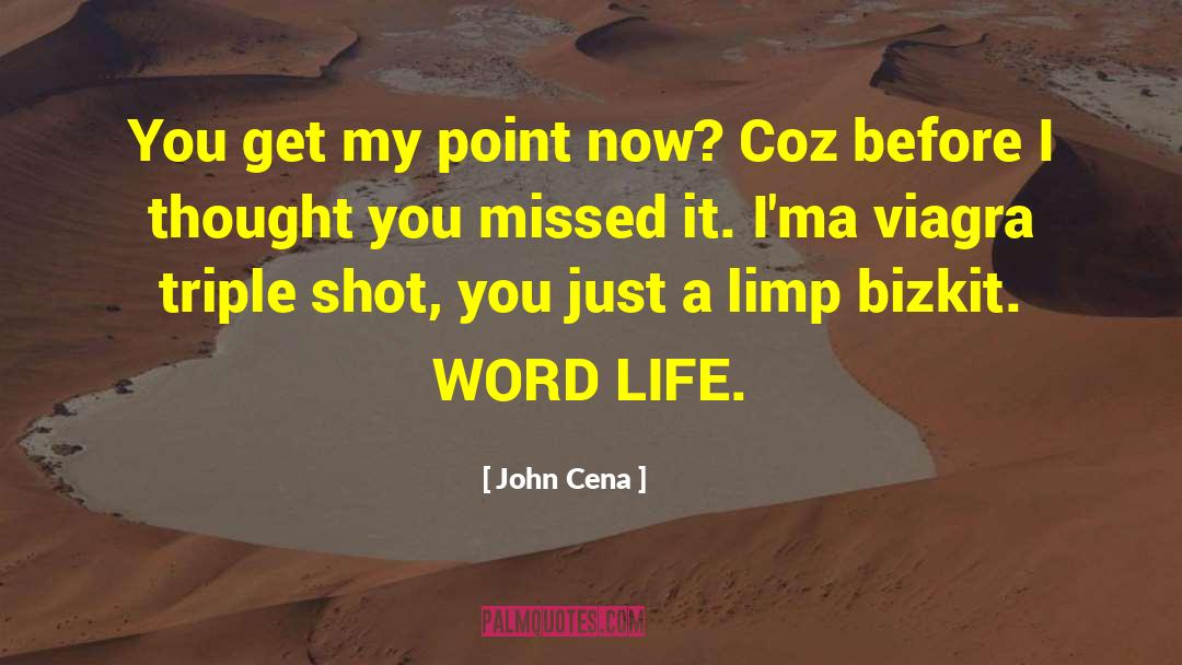 Limp Bizkit quotes by John Cena