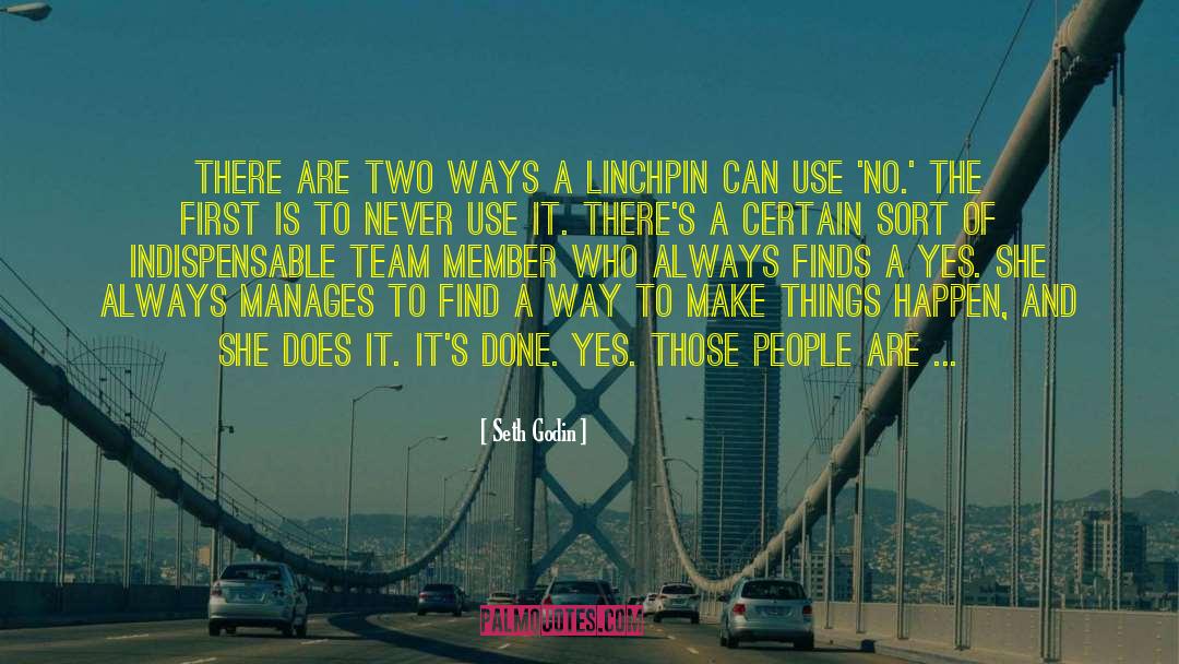 Linchpin quotes by Seth Godin