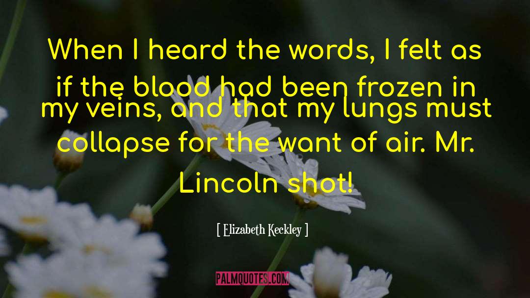 Lincoln Emblaze quotes by Elizabeth Keckley