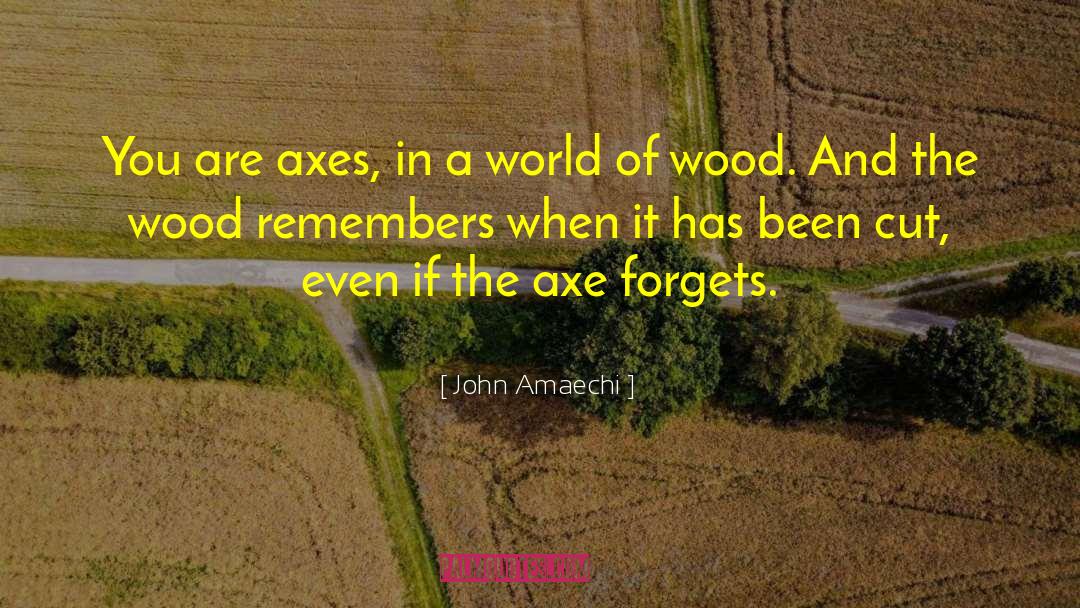 Lincoln Wood quotes by John Amaechi