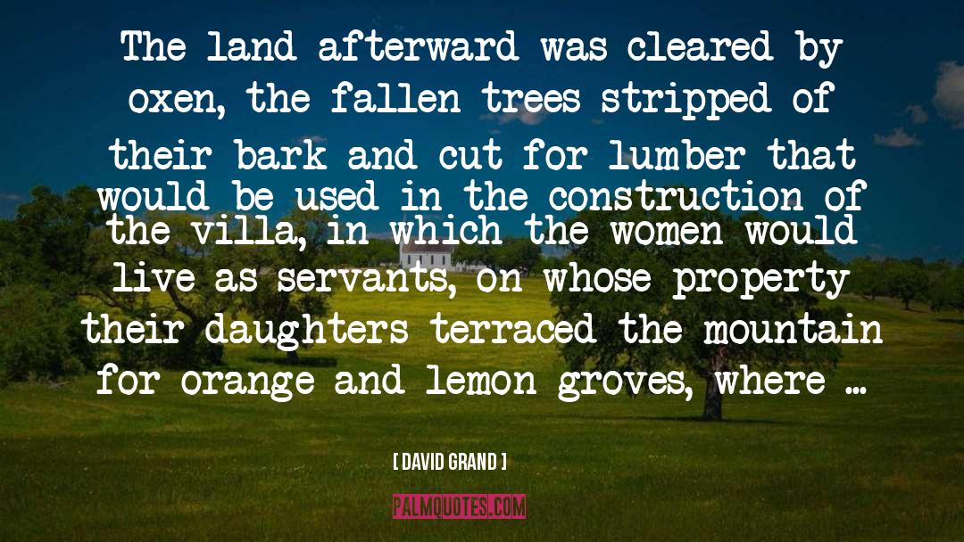 Lindborg Lumber quotes by David Grand