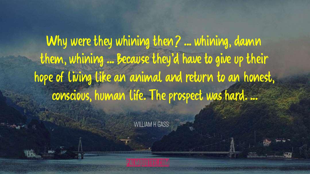 Linderman Animal Hospital quotes by William H Gass