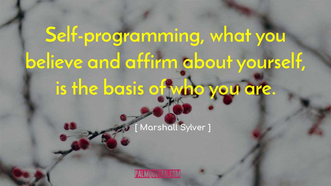 Linear Programming quotes by Marshall Sylver