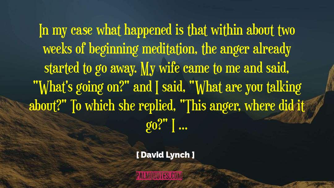 Lineman Wife quotes by David Lynch