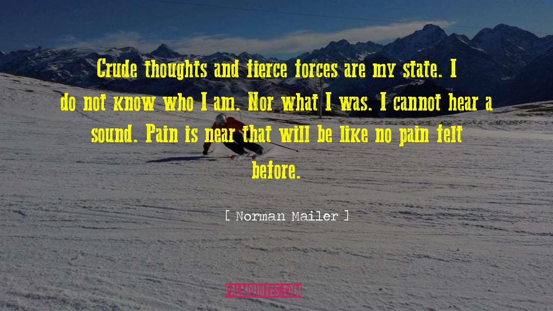 Lines Thoughts Felt quotes by Norman Mailer