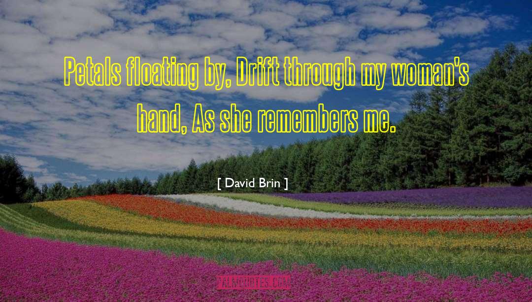 Linguistic Drift quotes by David Brin