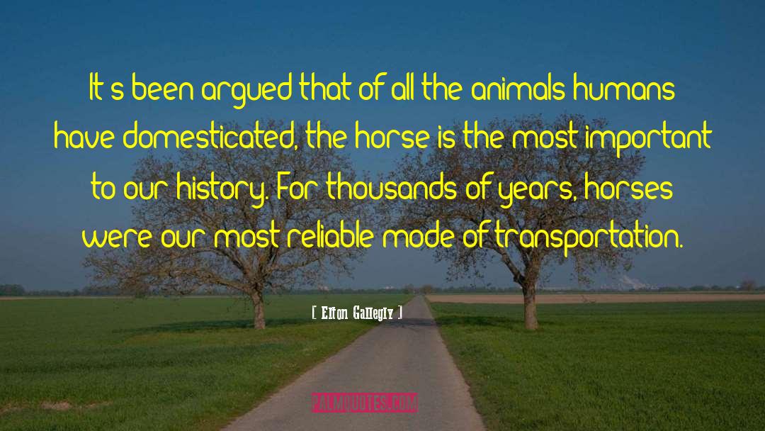 Liniment For Horses quotes by Elton Gallegly